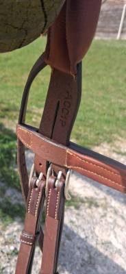 Bridon anatomique Précision muserolle Y Antarès