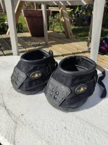 Hippodandales Old Mac's G2 T03