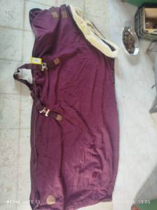 Chemise séchante Félix bulher T165cm