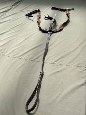 Collier de chasse équitation  Cuir marron élastique mar