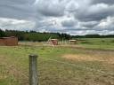 Complexe d'entrainement pour trotteurs cl&eacute; en main