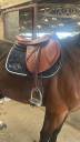 Selle Macel neuve 