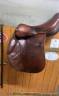 Selle forestiers 