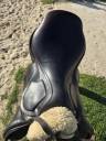 Selle amerigo DJ Pinerolo de 2021