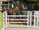 Superbe Hongre de 8 ans - obstacle 140cm 