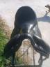 Selle dressage Devoucoux 17,5