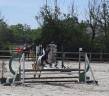 Ponette D 5 ans pour concours CSO et/ou Pony games 