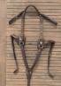 Collier de chasse + martingale Time Rider 