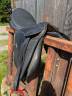 selle wintec 250