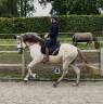 Magnifique entier PRE 4 ans 