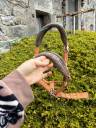 Licol taille cheval 