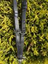 Martingales noire