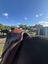 Selle cheval poney 