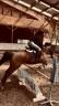Cavali&egrave;re Galop 5/6 propose aide pour travail de chevau