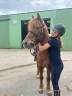 | EASY JUMP - 11 ans - 1m30 |