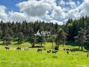 Domaine &eacute;questre en moyenne montagne