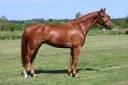 LAFAYETTE D'ANCHAT