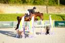 Top jument 5 ans pour cavalier amateur
