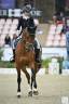 Hongre - BWP - 15 ans - Dressage / CDI YR - France