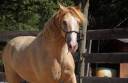 Rocky Mountain 10 ans