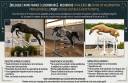 ? Valorisation PRO &ndash; 3 Jeunes Chevaux Cycles 2027 