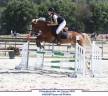 A vendre PFS 6 ans pour CSO