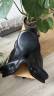 Selle Dressage - MAKILA LAB 