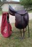 Selle CWD dressage 