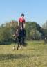 Mister 4ans trotteur fran&ccedil;ais 