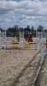 A vendre top poney pour concours 