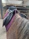 Selle 16,5 mixte 