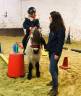 Stages d'&eacute;t&eacute; au Poney club de Buisseret