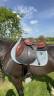 Selle jumpin 17,5