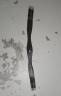Sangle 125cm cuir