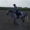 Cheval onc 2500&euro; 