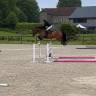 Hongre de 9 ans par Candy de Nantuel 