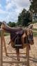 Selle d'&eacute;quitation Forestier