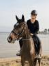 Bridon / Filet CWD Flexmotion taille 3 noir