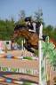 Poney de CSO performant &agrave; vendre 