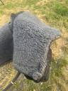 Tapis haizium