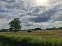 Propri&eacute;t&eacute; &eacute;questre de caract&egrave;re sur plus de 5 hectares  S