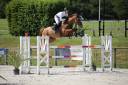 JEXICA DU PARC TOP 7  SELLE FRANCAIS MARE SOCPE 145 150