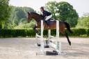 &Agrave; vendre cheval de 6 ans 