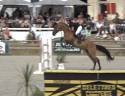Jument de sport 140/145
