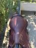 SELLE CWD 2gs mademoiselle A VENDRE 