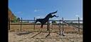 MURACO D ASTREE 4 ANS 