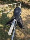 selle &eacute;quitation norton