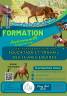 Formation CS &Eacute;ducation et Travail du jeune &eacute;quid&eacute;