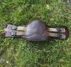 Sangle de dressage