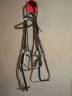 Filet &eacute;quitation complet cuir mors inox